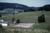 as1954_0012