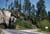 as1954_0029