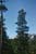 as1954_0033