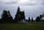 as1954_0080